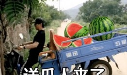 吃瓜吃晚了的文案搞笑,晚来一步，笑谈人间百态