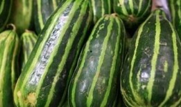 饿了吃梢瓜,夏日消暑美食之旅