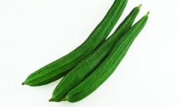 河北吃瓜全部,揭秘地方特色美食背后的故事