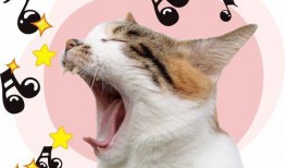 小猫吃瓜贴纸素材