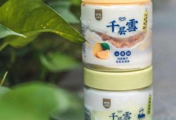 吃蜜瓜酪酪冰淇淋,夏日清凉新宠，甜蜜滋味尽享