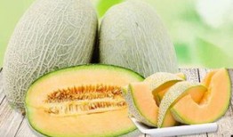 吃哈密瓜 喉咙过敏,揭秘过敏源与应对策略