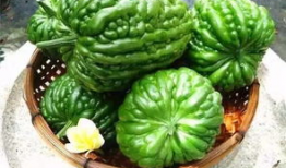 杜阮吃凉瓜酒楼,品味传统美食，畅饮清凉佳酿