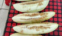 带你吃瓜带你去吃瓜,带你领略美食世界