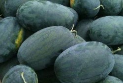 吃瓜一号,揭秘娱乐圈背后的那些事儿