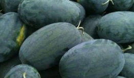 吃瓜一号,揭秘娱乐圈背后的那些事儿