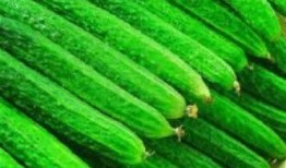 吃瓜防暑表情,吃瓜防暑表情包来袭！