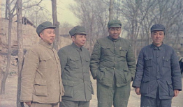 吃瓜电商团长,揭秘吃瓜电商团长的崛起之路