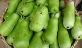 葫芦瓜表皮吃有毒吗,葫芦瓜表皮食用安全解析