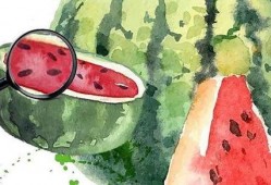 关注我吃高端瓜,关注我吃带你领略舌尖上的奢华