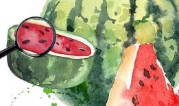 关注我吃高端瓜,关注我吃带你领略舌尖上的奢华