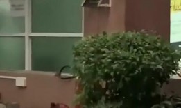 长远吃瓜热门新闻