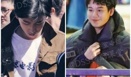 当代男团吃瓜,从吃瓜到深度解析，探寻偶像背后的故事