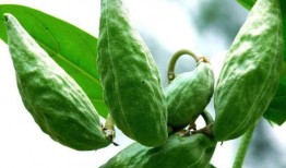 牛角瓜怎么吃最好