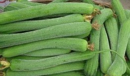 瓜吃的跟土豆一样的,同食异味的奇妙之旅