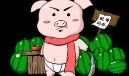 半路打劫吃瓜图片,吃瓜群众见证惊险一幕