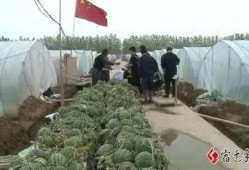 宿迁最新吃瓜事件,真相竟如此反转！