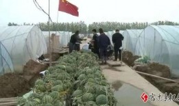 宿迁最新吃瓜事件,真相竟如此反转！