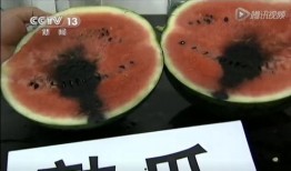 专门吃瓜的视频,视频解析