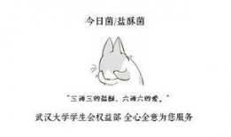 男生讲吃瓜故事,那些年我们一起吃瓜的故事