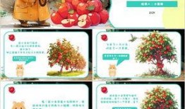 ppt吃瓜最好模板,PPT吃瓜最佳模板全解析