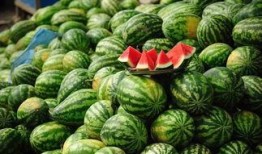 吃粟子瓜会胖吗,吃它真的会发胖吗？