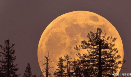 月亮上吃瓜,揭秘月球上的“吃瓜”传奇