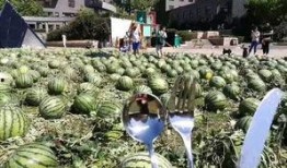 美术学院 吃瓜,一场视觉艺术的盛宴