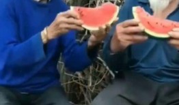 老人吃瓜的视频