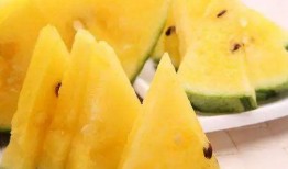 福建吃瓜图,一场视觉与味蕾的盛宴