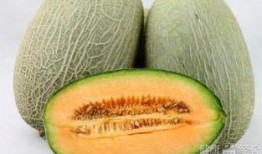 痛经可以吃哈密瓜,缓解痛经的天然良方