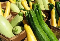 吃瓜专号,吃瓜专号带你领略幕后风云