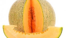 痛经可以吃哈密瓜,缓解痛经的天然良方