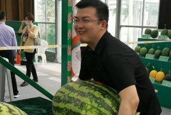 浪山吃瓜视频,揭秘网红视频背后的故事与魅力