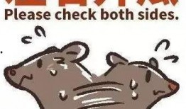 竞圈吃瓜群众,吃瓜群众揭秘幕后真相