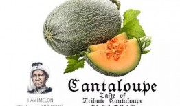 吃瓜一号,揭秘娱乐圈背后的那些事儿