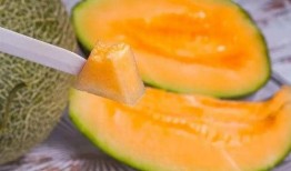 吃孩子哈密瓜,一场甜蜜的味蕾盛宴