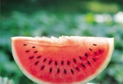 陌上吃瓜全文,揭秘娱乐圈背后的秘密与真相