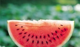 陌上吃瓜全文,揭秘娱乐圈背后的秘密与真相