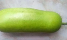 西葫芦的瓜怎么吃,解锁美味新境界