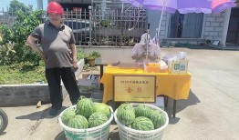 吃瓜宁波高中,揭秘高中校园里的那些事儿