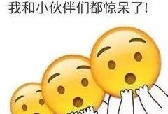 何运晨吃瓜表情,揭秘娱乐圈幕后风云