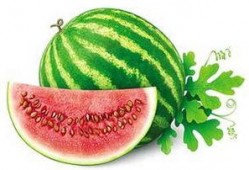 校园吃瓜冬天,那些温暖又搞笑的校园瞬间