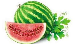 校园吃瓜冬天,那些温暖又搞笑的校园瞬间