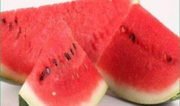 吃海鲜吃瓜视频,一场吃瓜视频的味蕾之旅