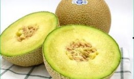 老人孩子吃哈密瓜,老少皆宜的夏日美味