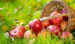 吃瓜塞苹果,趣味生活小窍门大揭秘