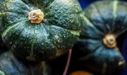 黑胖吃瓜,揭秘娱乐圈幕后故事