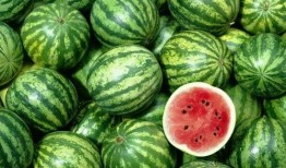 寰宇吃瓜,揭秘全球热点事件背后的真相