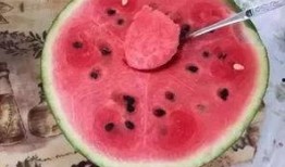 吃瓜是什么感受,揭秘网络围观背后的心理体验